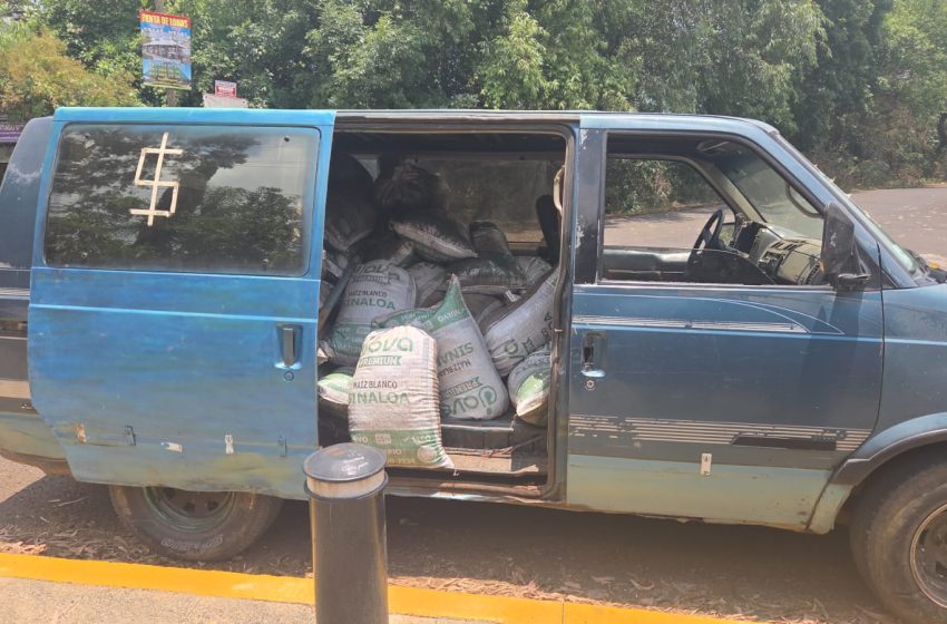  Asegura FGE a una persona presuntamente relacionada en delitos contra el ambiente, en Morelia
