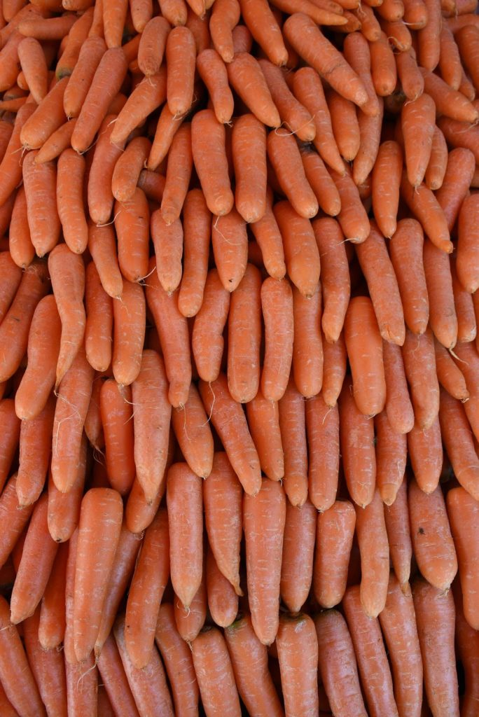 GobMichCanBas2