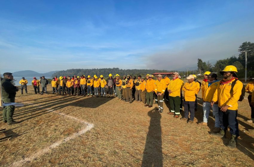  Con apoyo aéreo, 149 brigadistas combaten incendio forestal en Salvador Escalante: COFOM