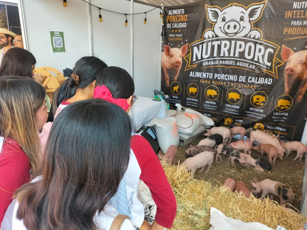 GobMorAgroPorci2