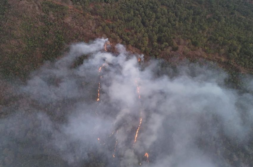  Helibalde suma 14 mil litros de agua para sofocar incendio forestal en Pátzcuaro: Bedolla