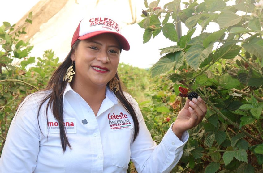  Celeste Ascencio escucha en territorio las necesidades de jornaleras y jornaleros de Michoacán