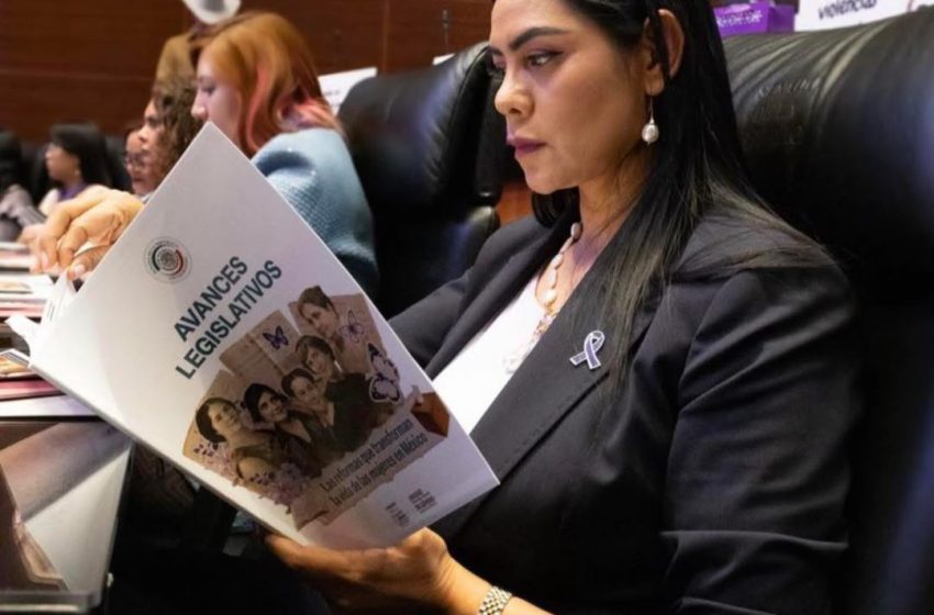  Avanzó Senado en reformas clave para el bienestar, derechos y austeridad: Araceli Saucedo