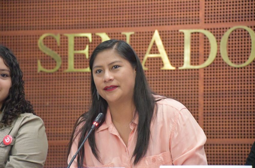  “Los derechos de las infancias también se defienden en internet”: Celeste Ascencio