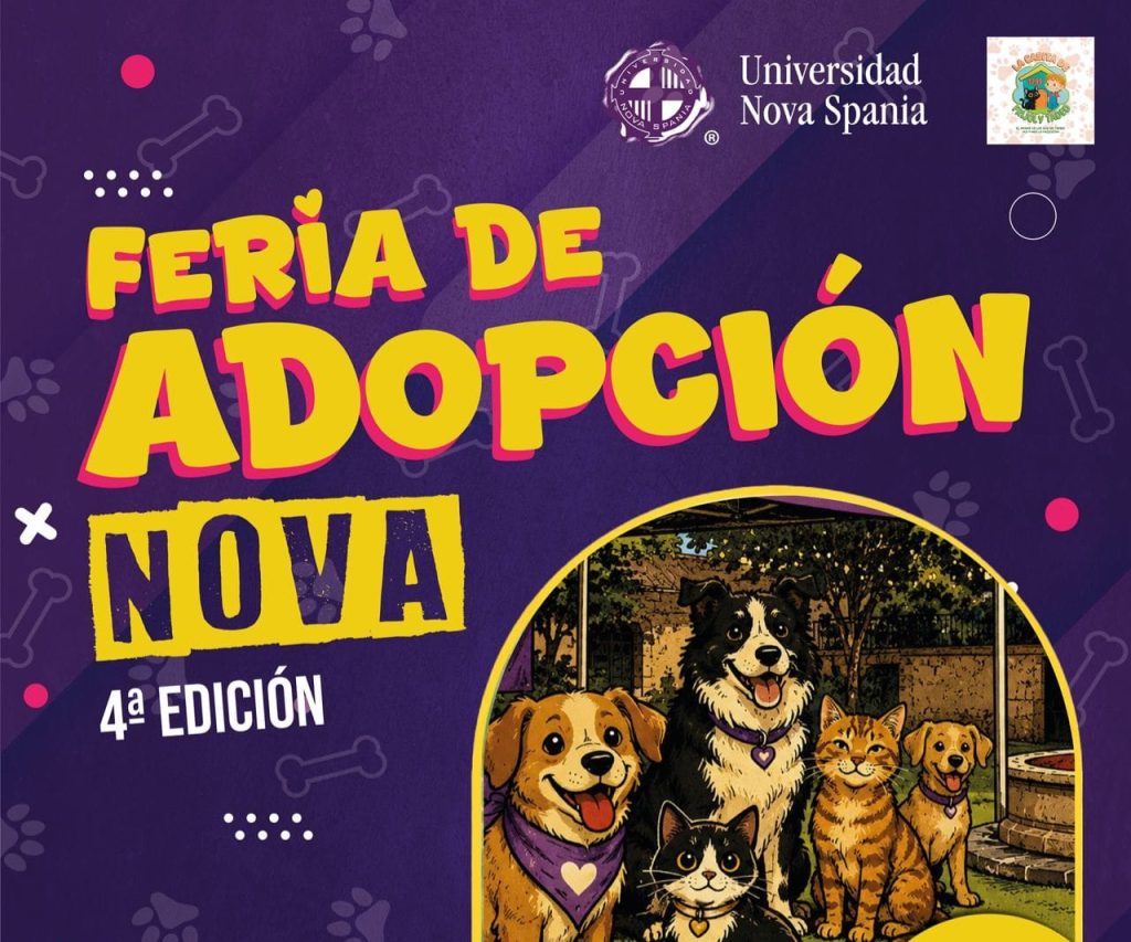 Mascos4aNovaAdop1