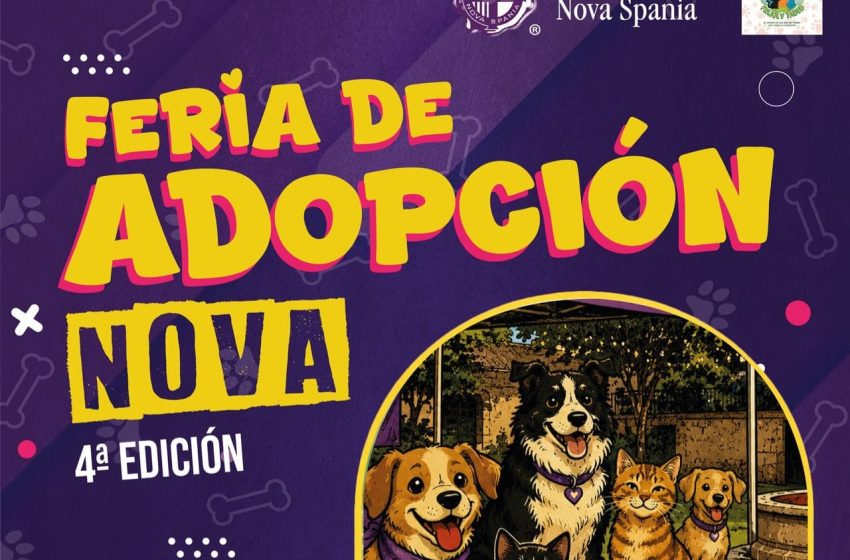  Michis exigentes busca Karen’s responsables; lomitos quieren amor en feria de adopción en Morelia