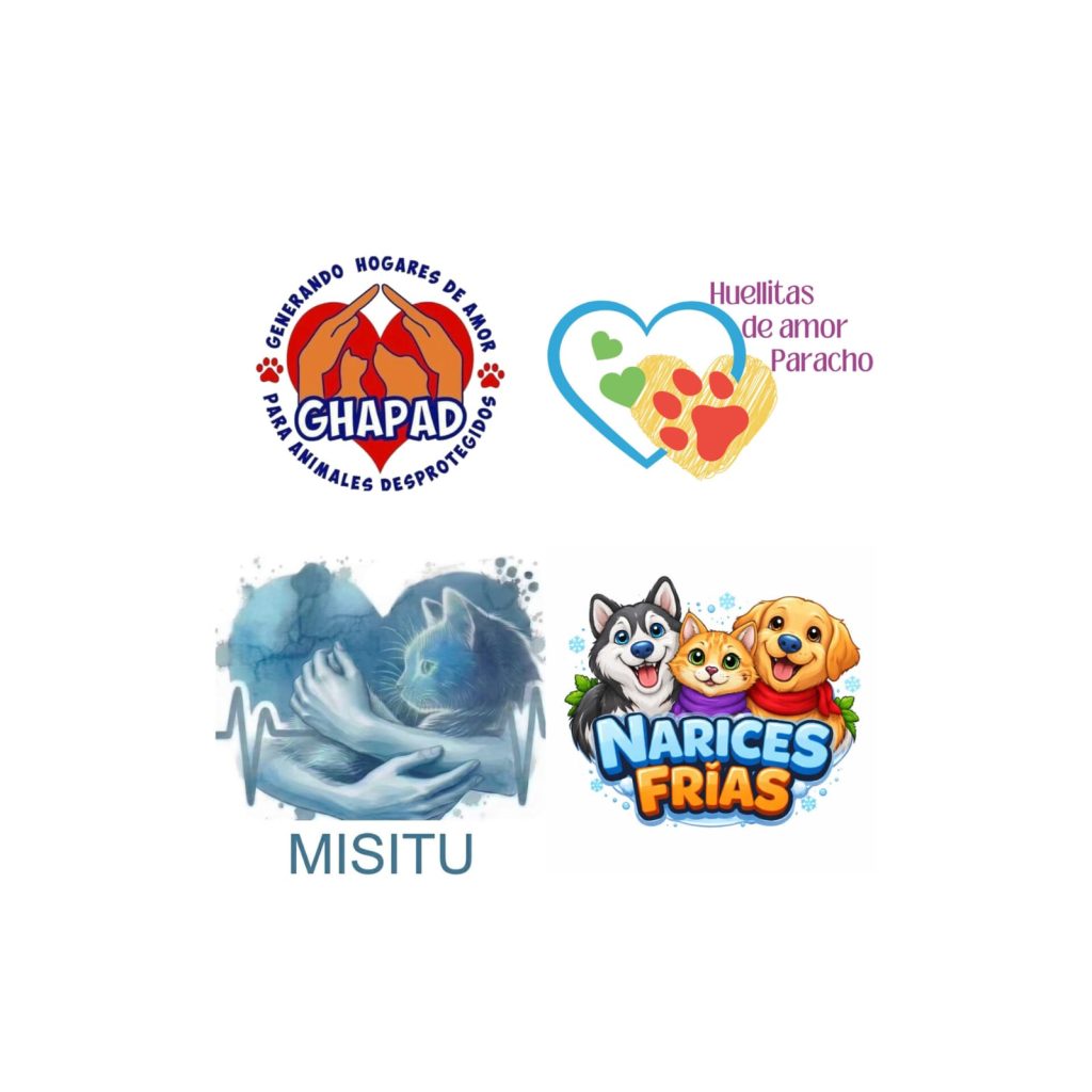 MascosRazasPuras3