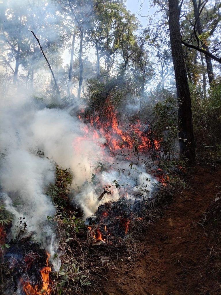 Continúan labores coordinadas para la atención del incendio forestal en la comunidad de Copándaro 3 StaClaraIncCopan2