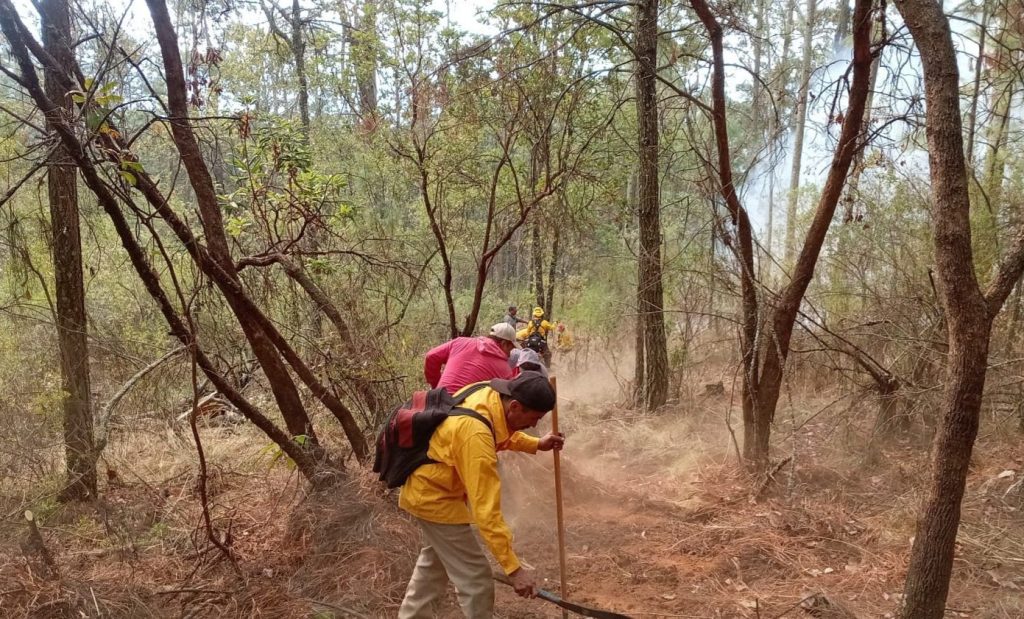 Continúan labores coordinadas para la atención del incendio forestal en la comunidad de Copándaro 4 StaClaraIncCopan3
