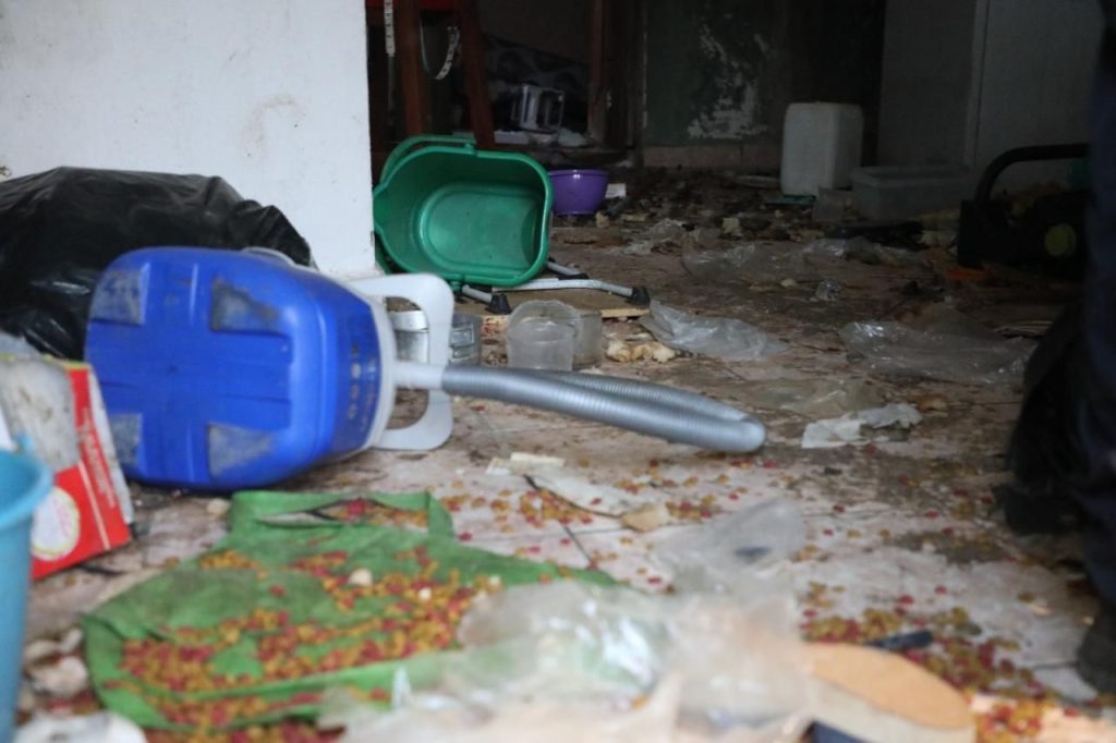Rescata FGE a dos caninos víctimas de maltrato y abandono, en Morelia 10 img 20260508 wa0020725784260050723122