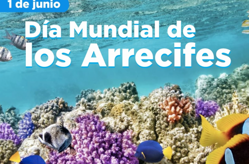  1 de junio: Día Mundial de los Arrecifes
