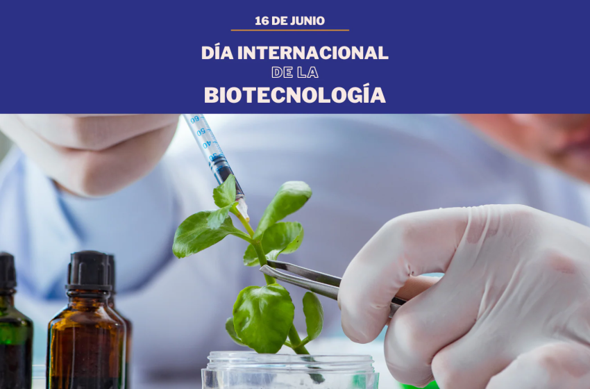 DiaBiotecnologia