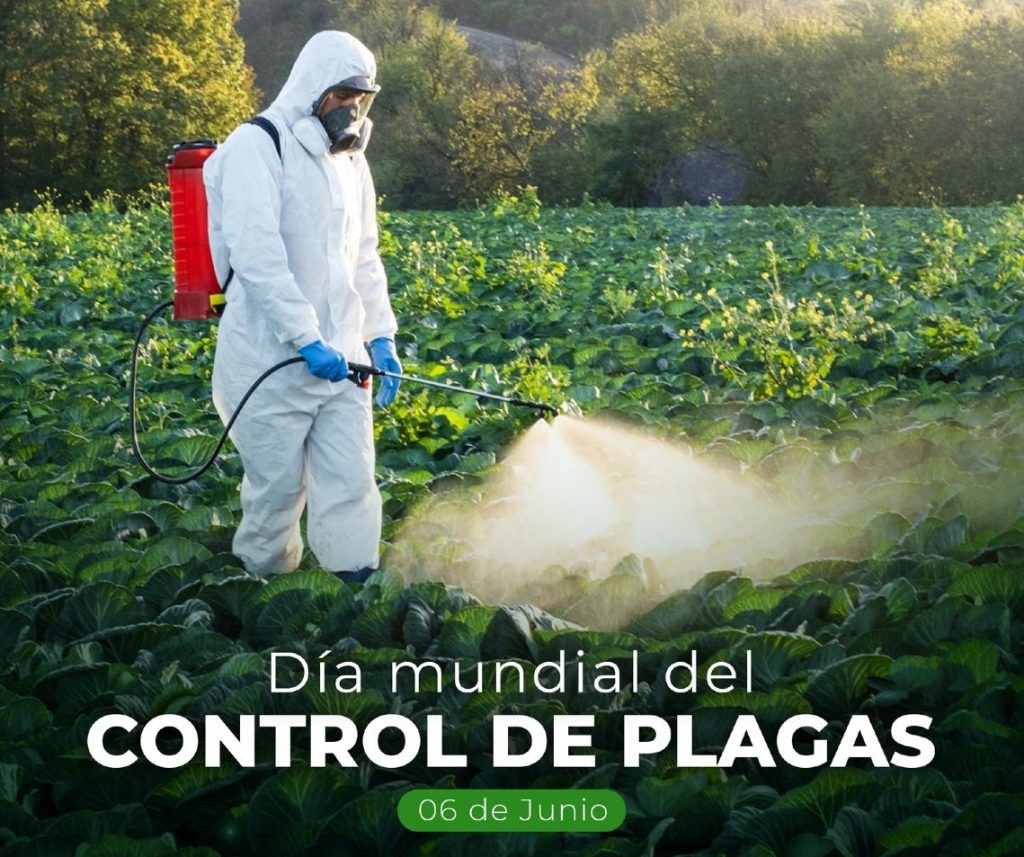 DiaControlPlagas