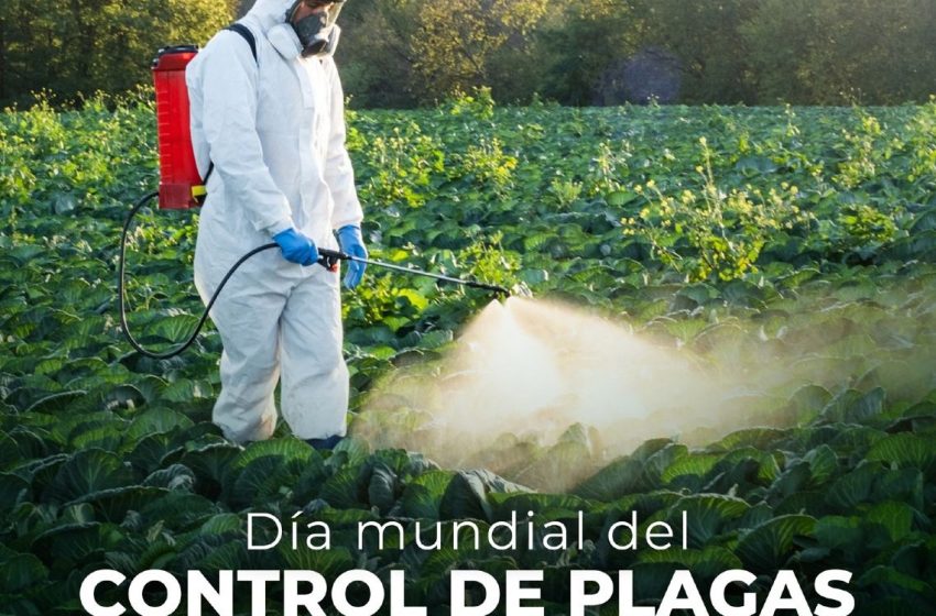  6 de junio: Día Mundial de Concienciación sobre la importancia del control de plagas