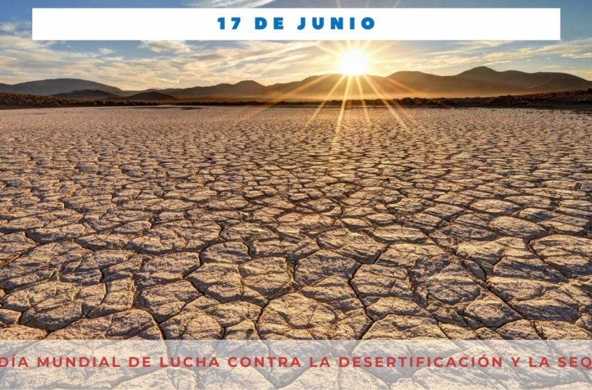17 de junio: Día Mundial de Lucha contra la Desertificación y la Sequía