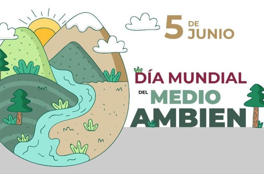  5 de junio: Día Mundial del Medio Ambiente
