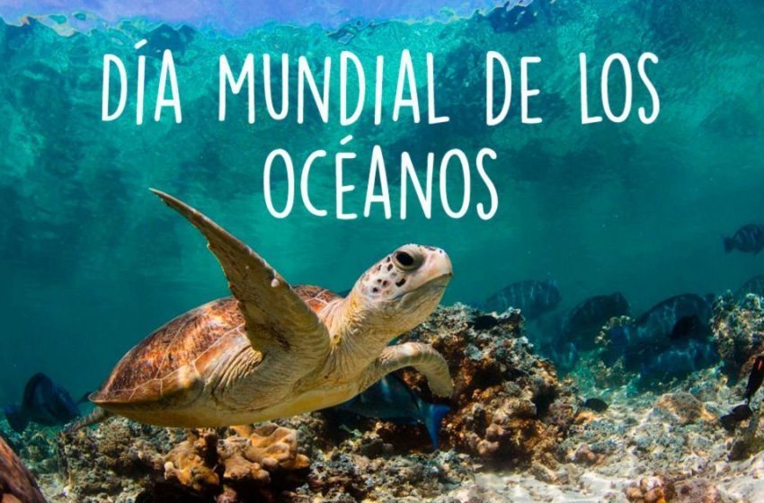  8 de junio: Día Mundial de los Océanos