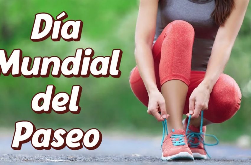 DiaPaseo