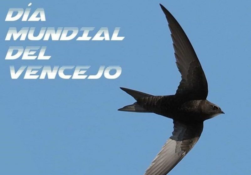DiaVencejo