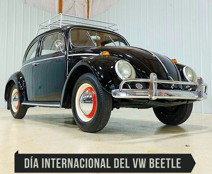 DiaVocho