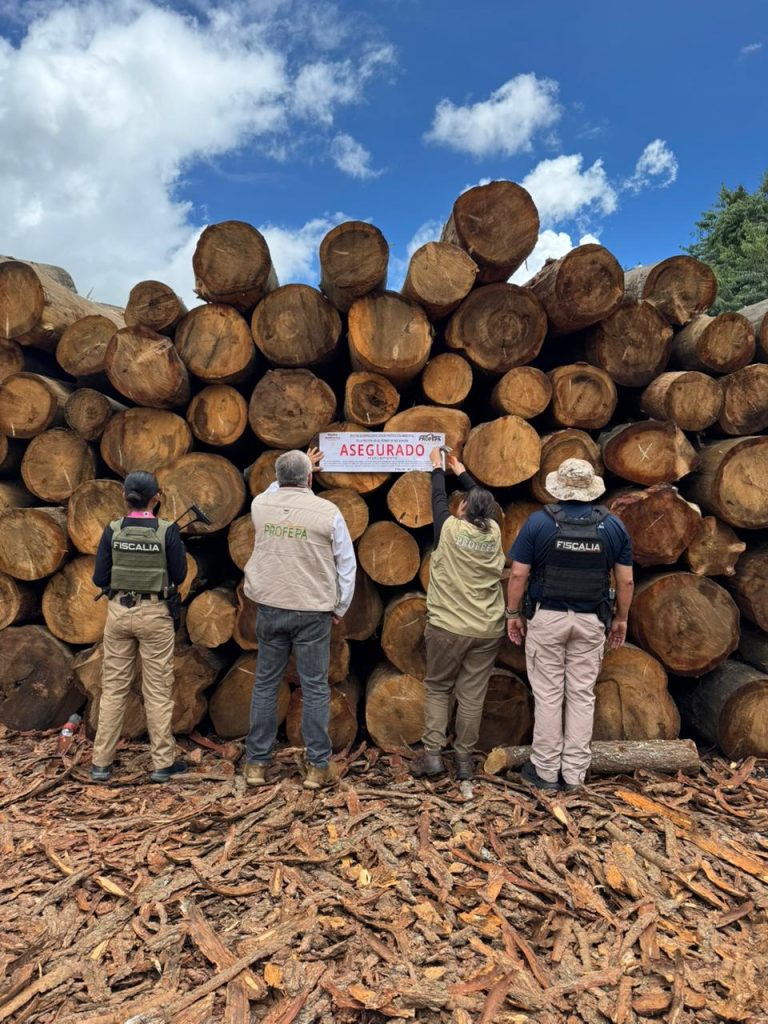 Participa FGE en operativo conjunto que derivó en aseguramiento precautorio de productos forestales en Villa Madero 4 FGE OperConjPtz3