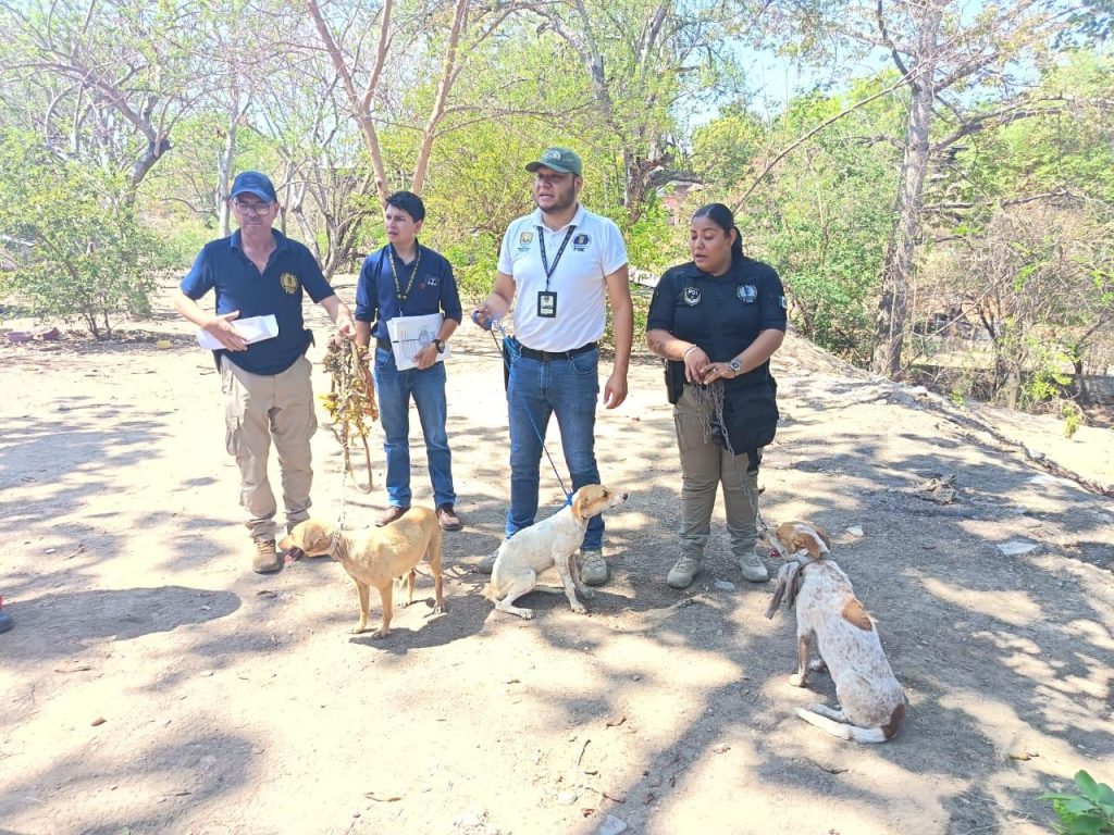 FGE ResCanesHue1