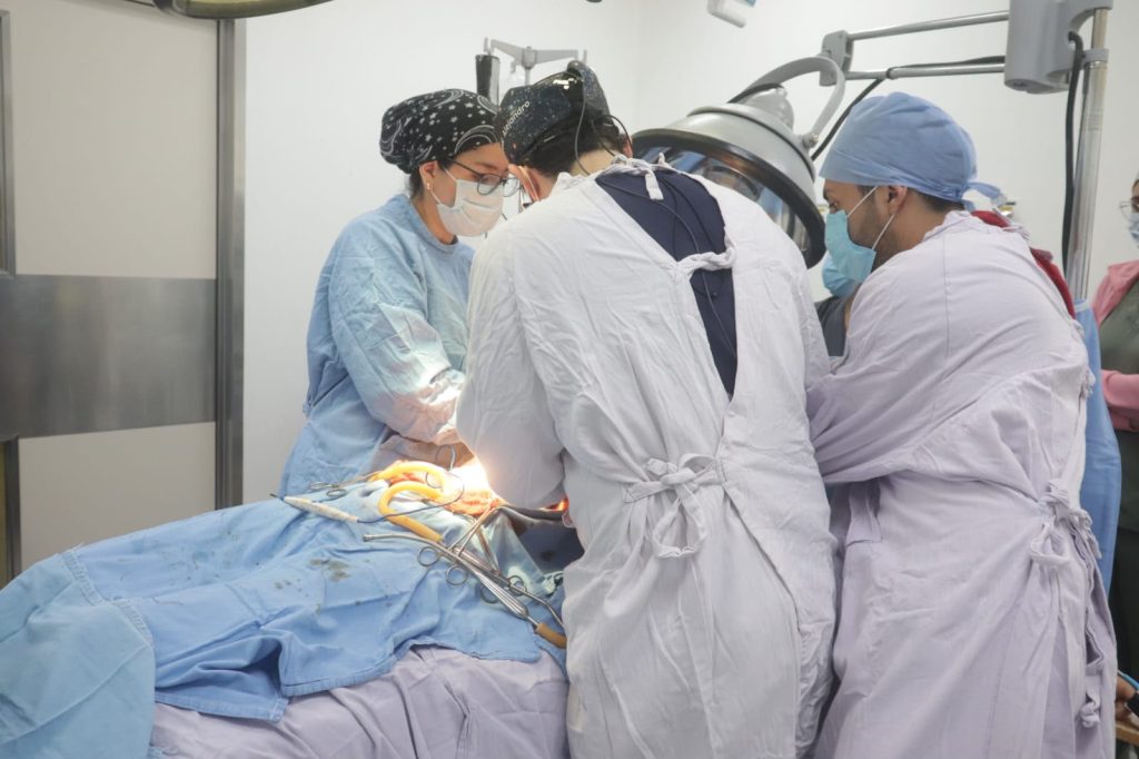 IMSS PromDonOrg1