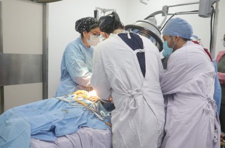 IMSS PromDonOrg1