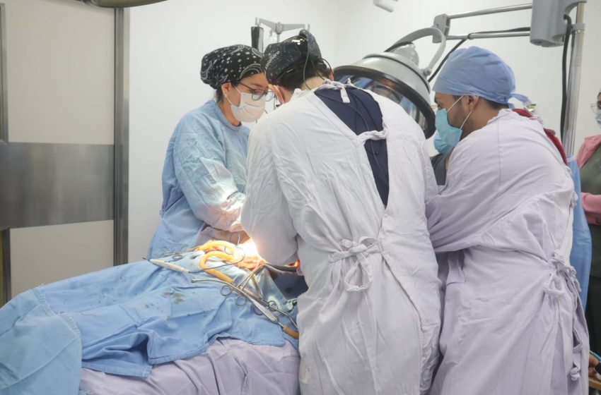 IMSS PromDonOrg1