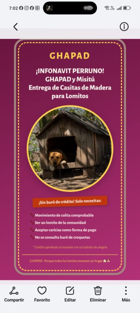 GHAPAD y MISITU activan programa solidario ¡Infonavit Perruno! para lomitos sin hogar en Morelia 9 MascosInfoPerru2