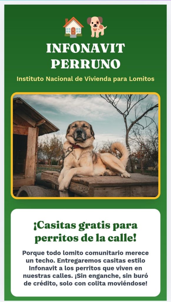 GHAPAD y MISITU activan programa solidario ¡Infonavit Perruno! para lomitos sin hogar en Morelia 10 MascosInfoPerru3