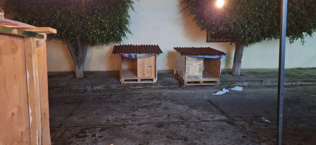 GHAPAD y MISITU activan programa solidario ¡Infonavit Perruno! para lomitos sin hogar en Morelia 11 MascosInfoPerru4