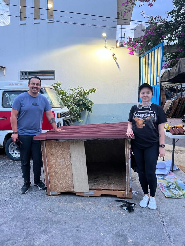 GHAPAD y MISITU activan programa solidario ¡Infonavit Perruno! para lomitos sin hogar en Morelia 13 MascosInfoPerru6
