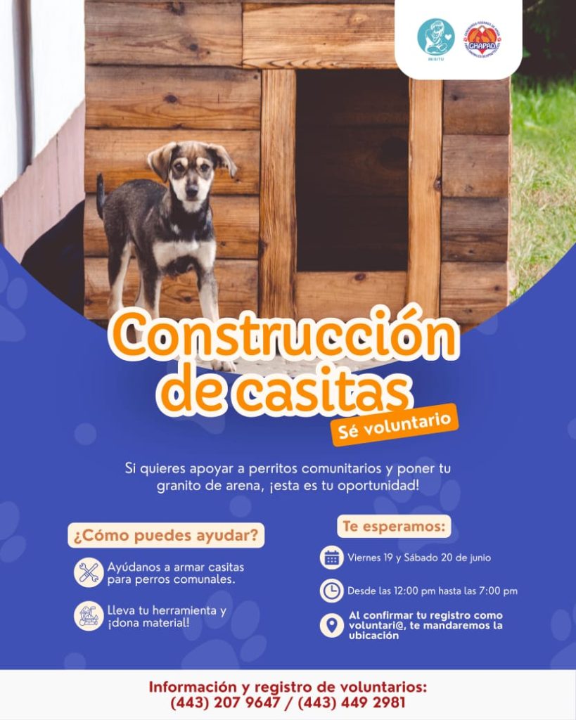 GHAPAD y MISITU activan programa solidario ¡Infonavit Perruno! para lomitos sin hogar en Morelia 14 MascosInfoPerru7