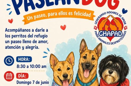 MascosPaseandog1