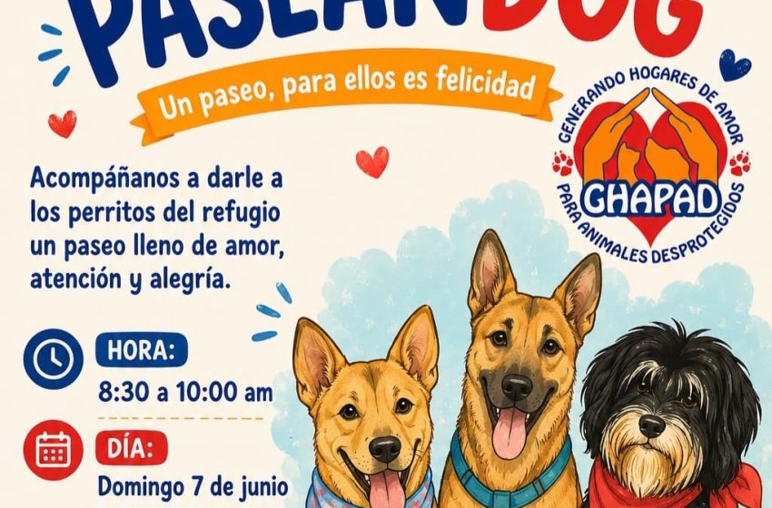 MascosPaseandog1